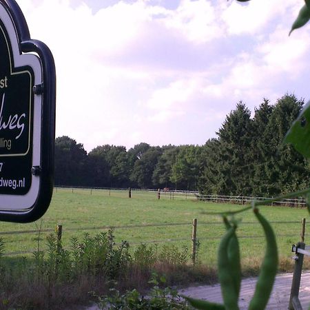 Vakantiehuis "Aan De Zandweg" Roderesch Kültér fotó