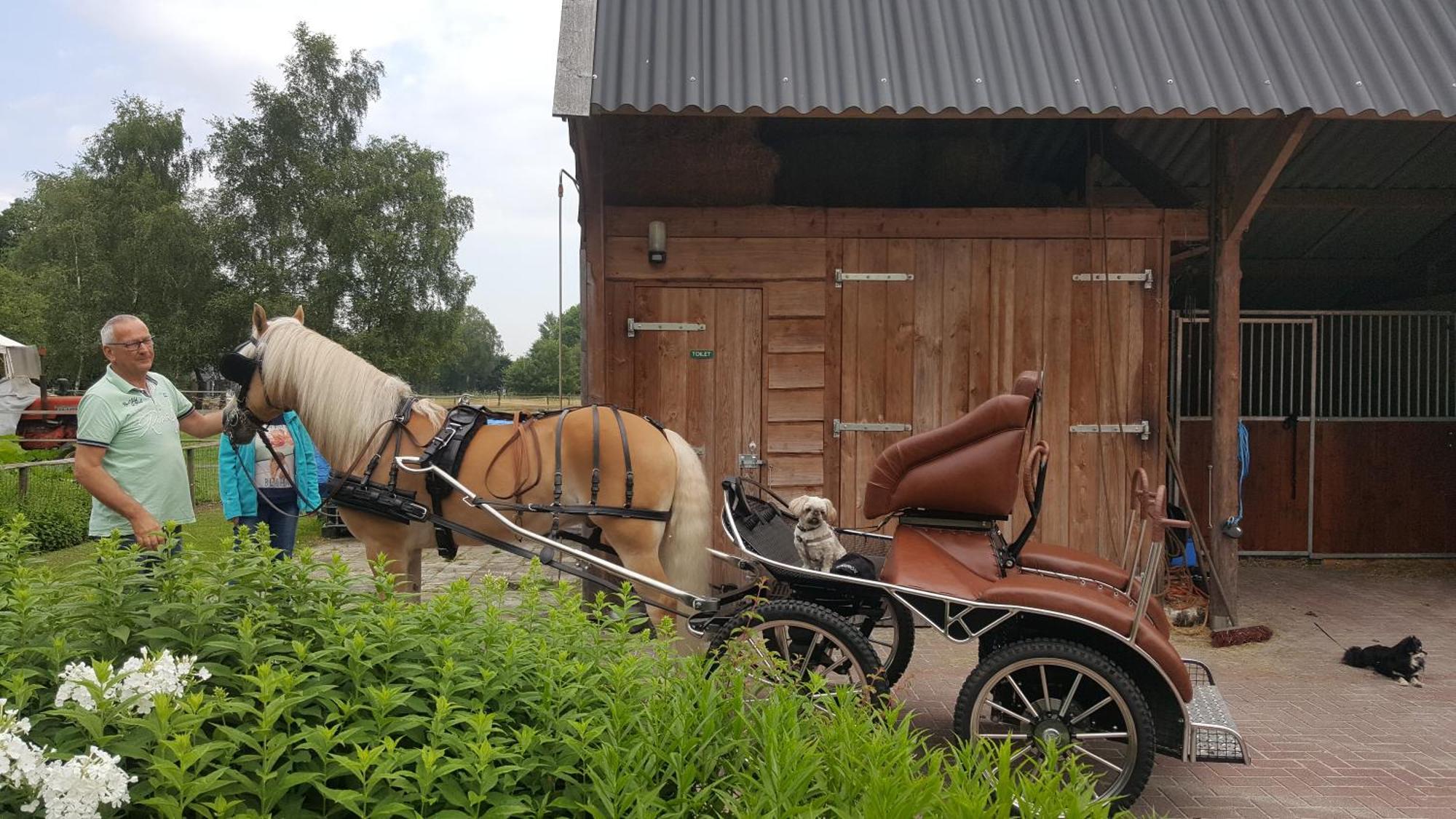 Vakantiehuis "Aan De Zandweg" Roderesch Kültér fotó