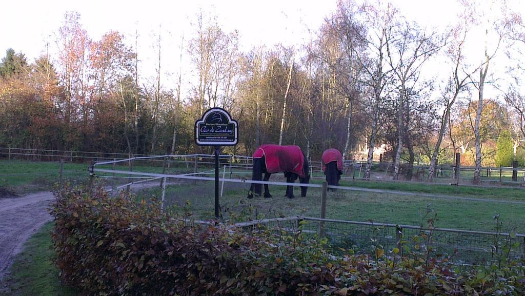Vakantiehuis "Aan De Zandweg" Roderesch Szoba fotó